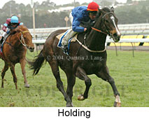 Holding (18507 bytes)