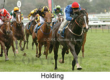 Holding (18507 bytes)