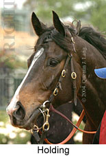 Holding (18507 bytes)