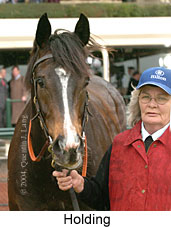 Holding (18507 bytes)