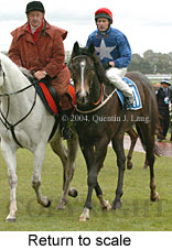 Return to scale (17769 bytes)