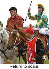 Return to scale (17769 bytes)