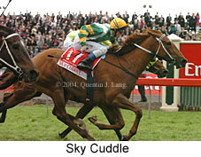 Sky Cuddle (17076 bytes)