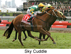 Sky Cuddle (18507 bytes)