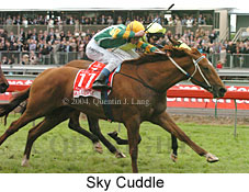 Sky Cuddle (18507 bytes)