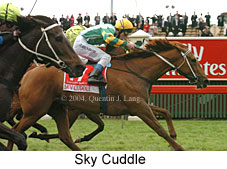 Sky Cuddle (18507 bytes)