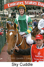 Sky Cuddle (18507 bytes)