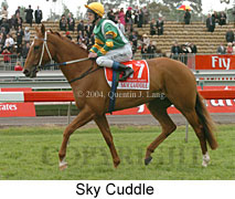 Sky Cuddle (18507 bytes)