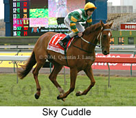 Sky Cuddle (18507 bytes)