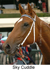 Sky Cuddle (18507 bytes)