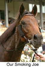 Our Smoking Joe (18507 bytes)