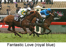 Fantastic Love (18507 bytes)