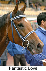 Fantastic Love (18507 bytes)