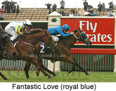 Fantastic Love (18507 bytes)