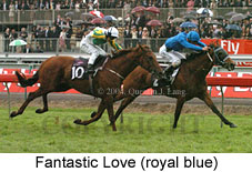 Fantastic Love (18507 bytes)