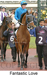 Fantastic Love (18507 bytes)