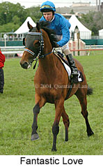 Fantastic Love (18507 bytes)