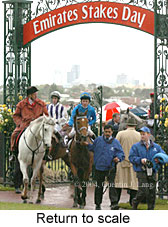 Return to scale (17769 bytes)