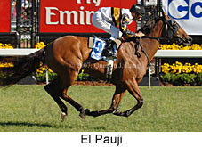 El Pauji (18507 bytes)