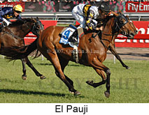 El Pauji (18507 bytes)