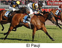 El Pauji (18507 bytes)