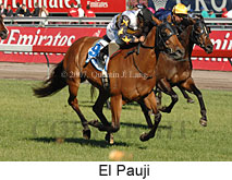 El Pauji (18507 bytes)