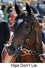 Hips Don't Lie (18507 bytes)