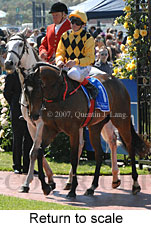 Return to scale (17769 bytes)