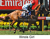 Illinois Girl (18507 bytes)