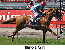 Illinois Girl (18507 bytes)