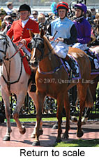 Return to scale (17769 bytes)