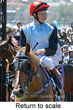 Return to scale (17769 bytes)