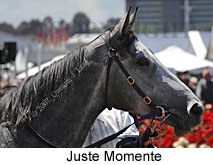 Juste Momente (18507 bytes)