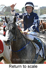 Return to scale (17769 bytes)