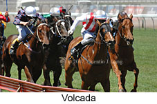 Volcada (18507 bytes)