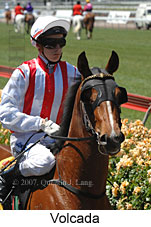 Volcada (18507 bytes)