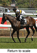 Return to scale (17769 bytes)