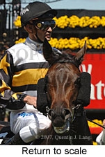 Return to scale (17769 bytes)