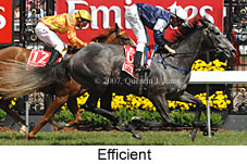 Efficient (17076 bytes)