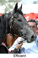 Efficient (18507 bytes)