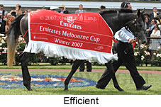 Efficient (18507 bytes)