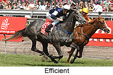 Efficient (18507 bytes)