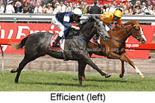 Efficient (18507 bytes)