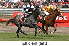 Efficient (18507 bytes)