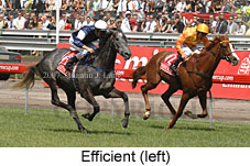 Efficient (18507 bytes)