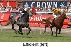 Efficient (18507 bytes)