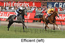 Efficient (18507 bytes)