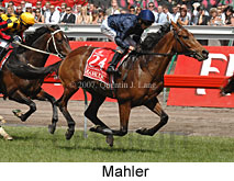 Mahler (18507 bytes)