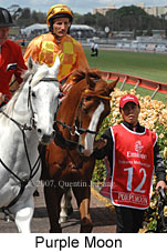 Purple Moon (18507 bytes)