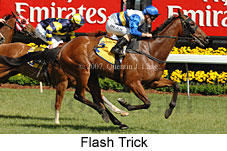 Flash Trick (18507 bytes)